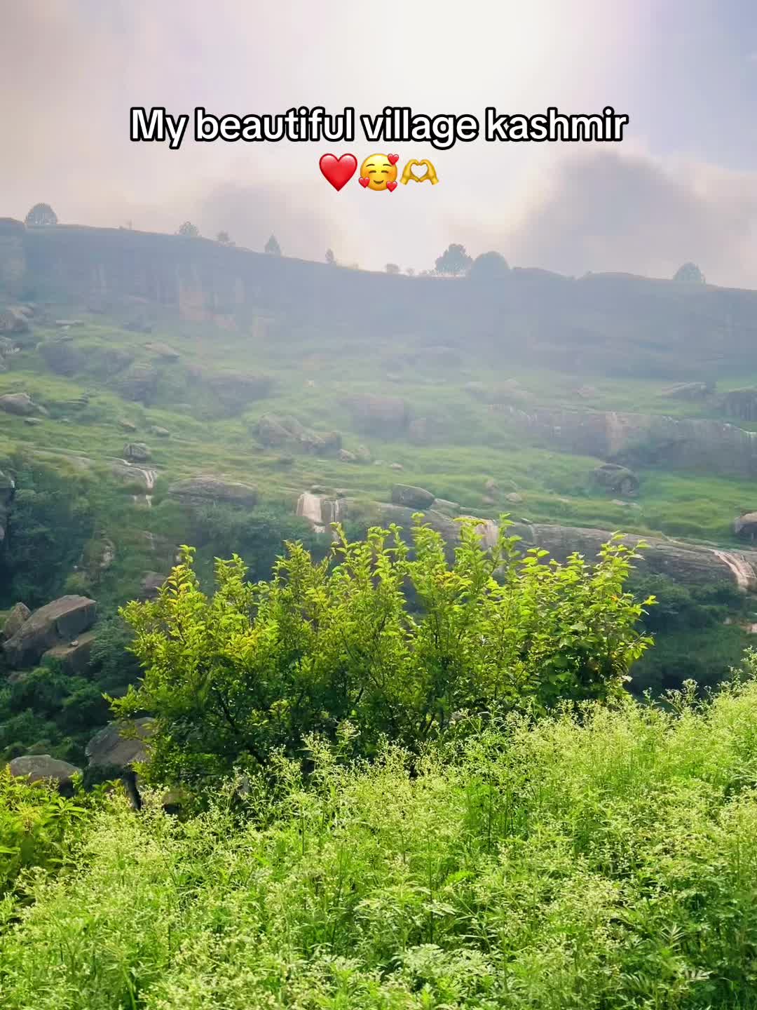 @🇺🇸Nimяa🌷Khan USA👸🏻💫
