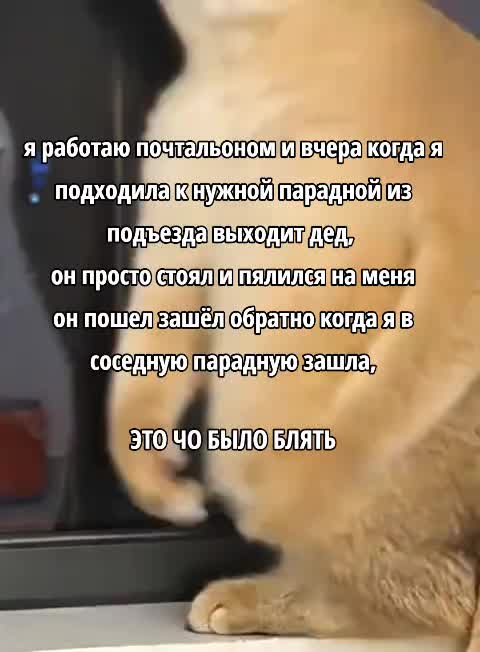 @кто такая меочан?