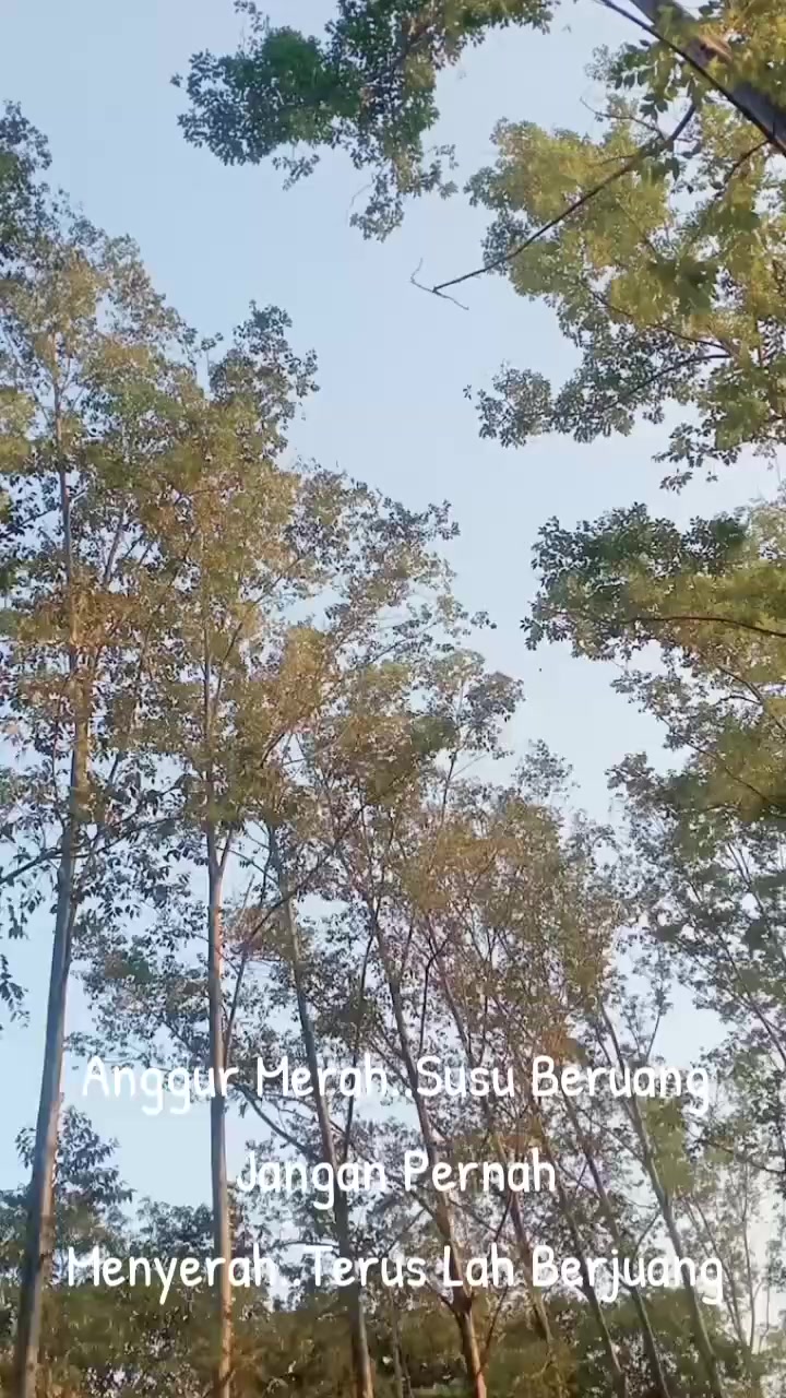 @teamevakuasi