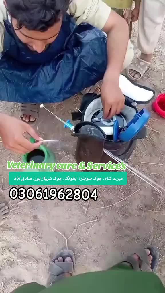 @ویٹرنری کیئر اینڈ سروسز