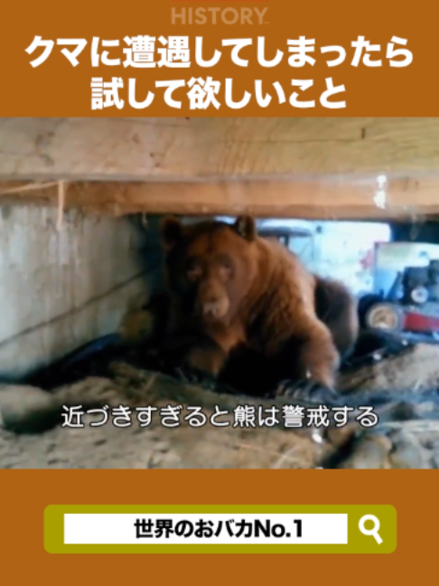@Lifetime Japan（ライフタイムジャパン）