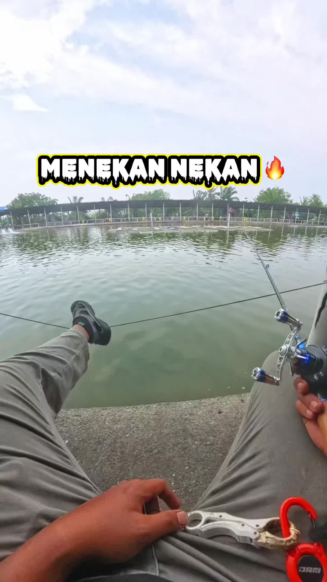 @M Z Reel 🎣