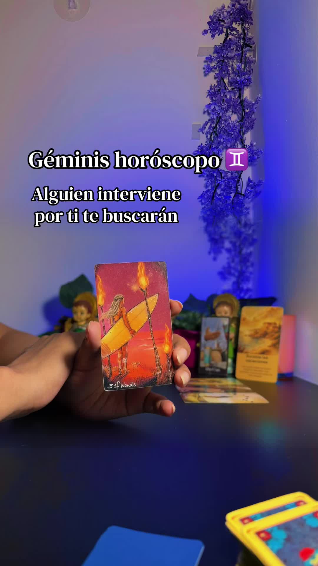 @camitarot77