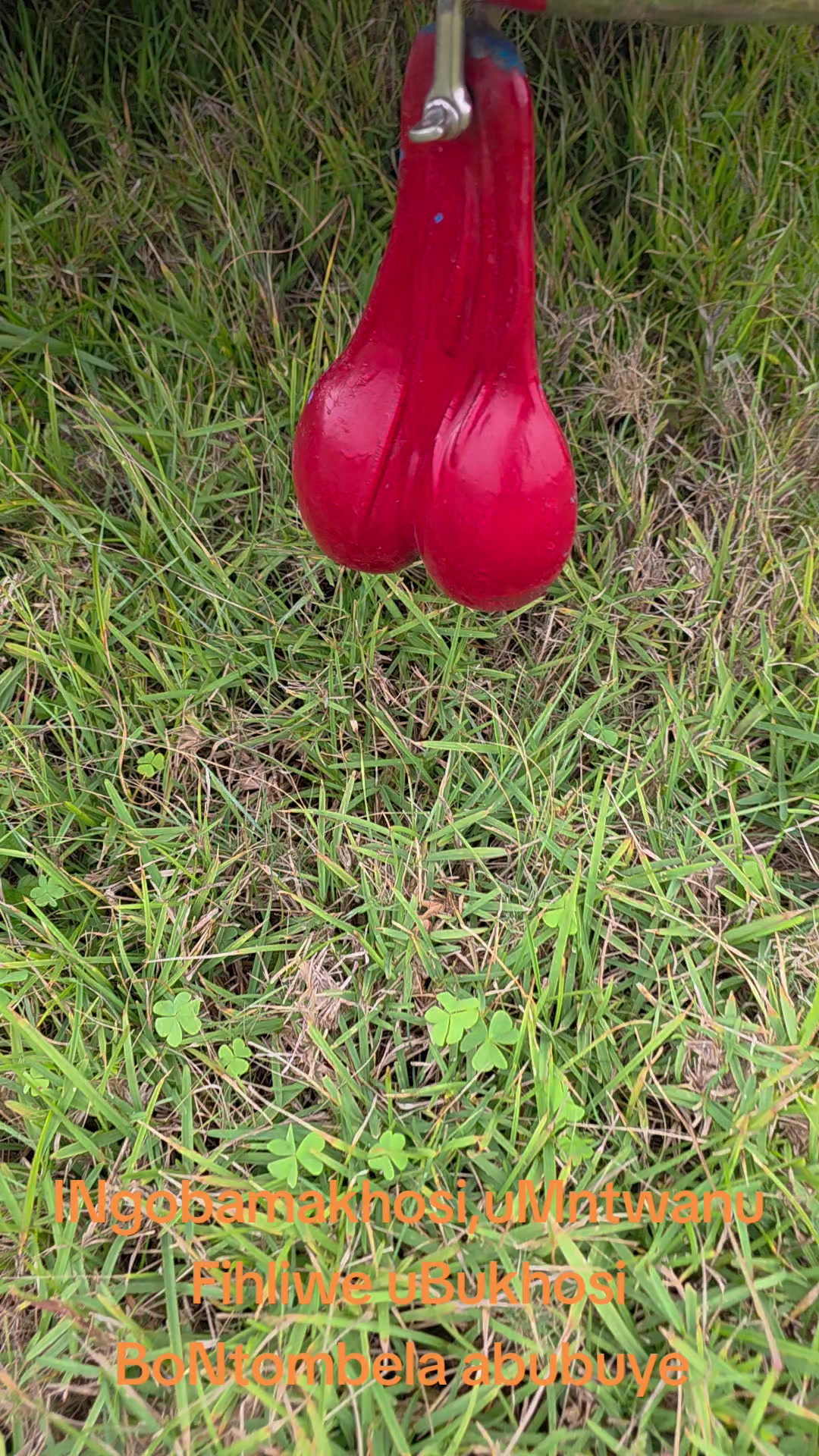 @Inkunzebomvu EC