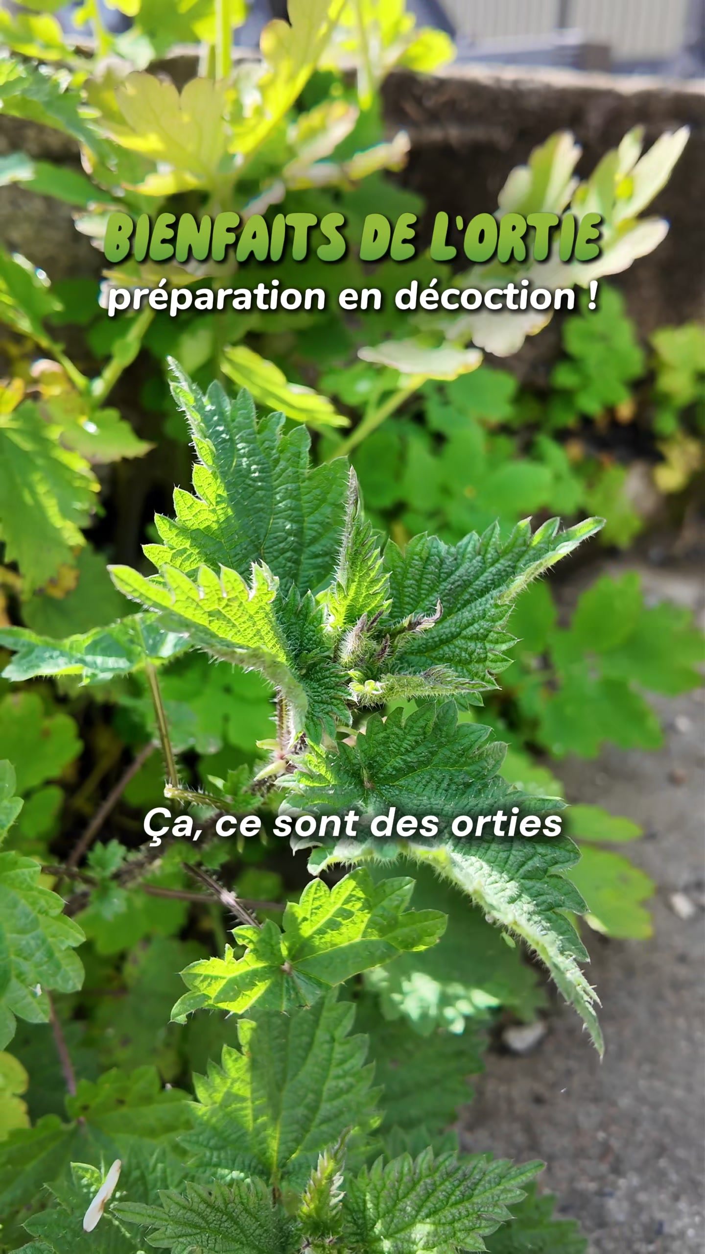 @Loula & Simon - Spicypreneurs