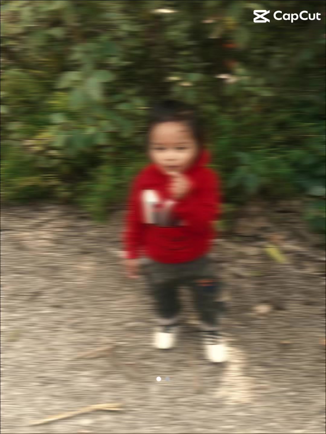 @🐼