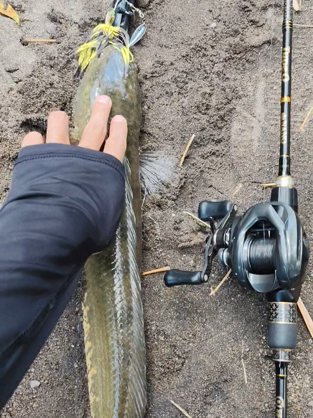 @gustavxfishing