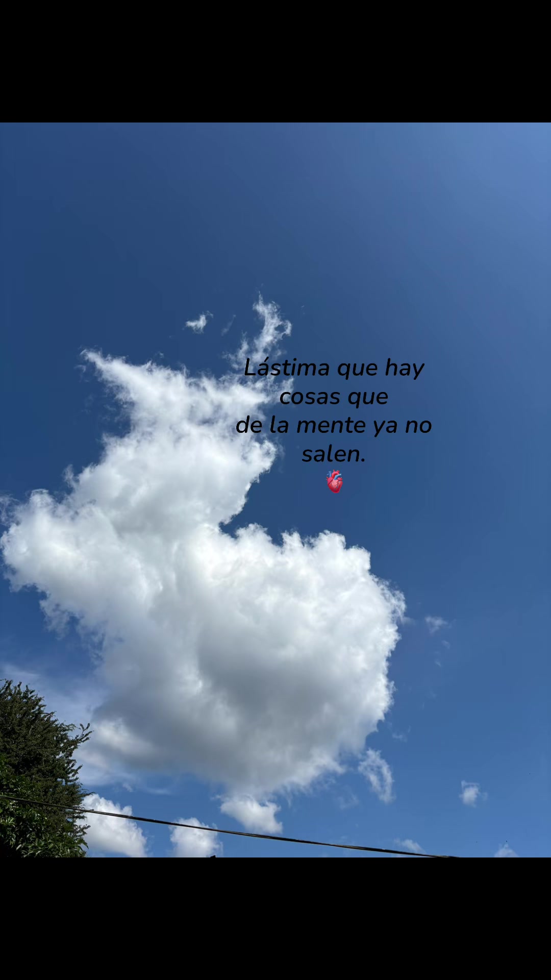 @🪫🗣️🥀🧊Rosita🧊🥀🗣️🪫