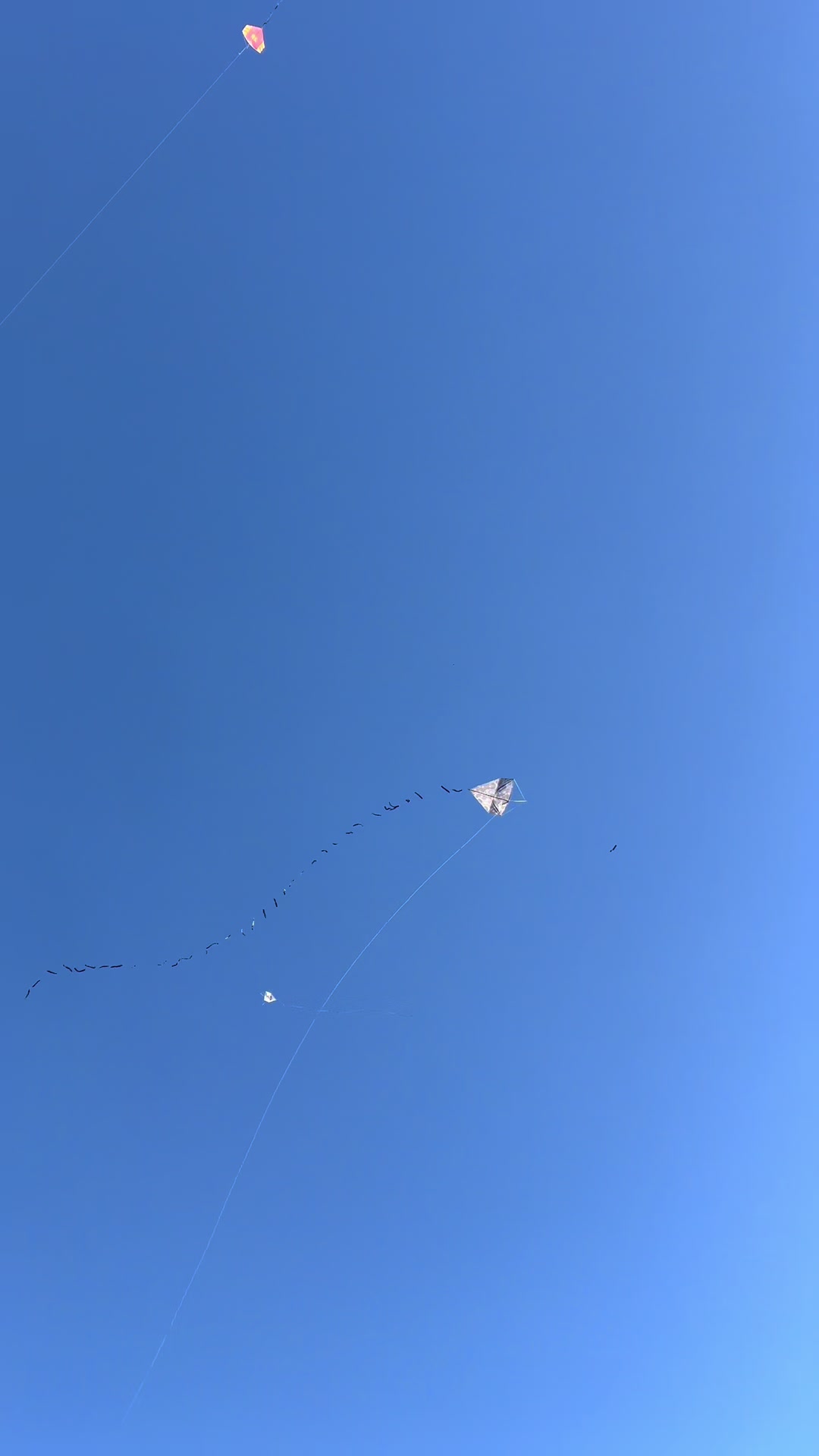 @IGOR TIKTOK