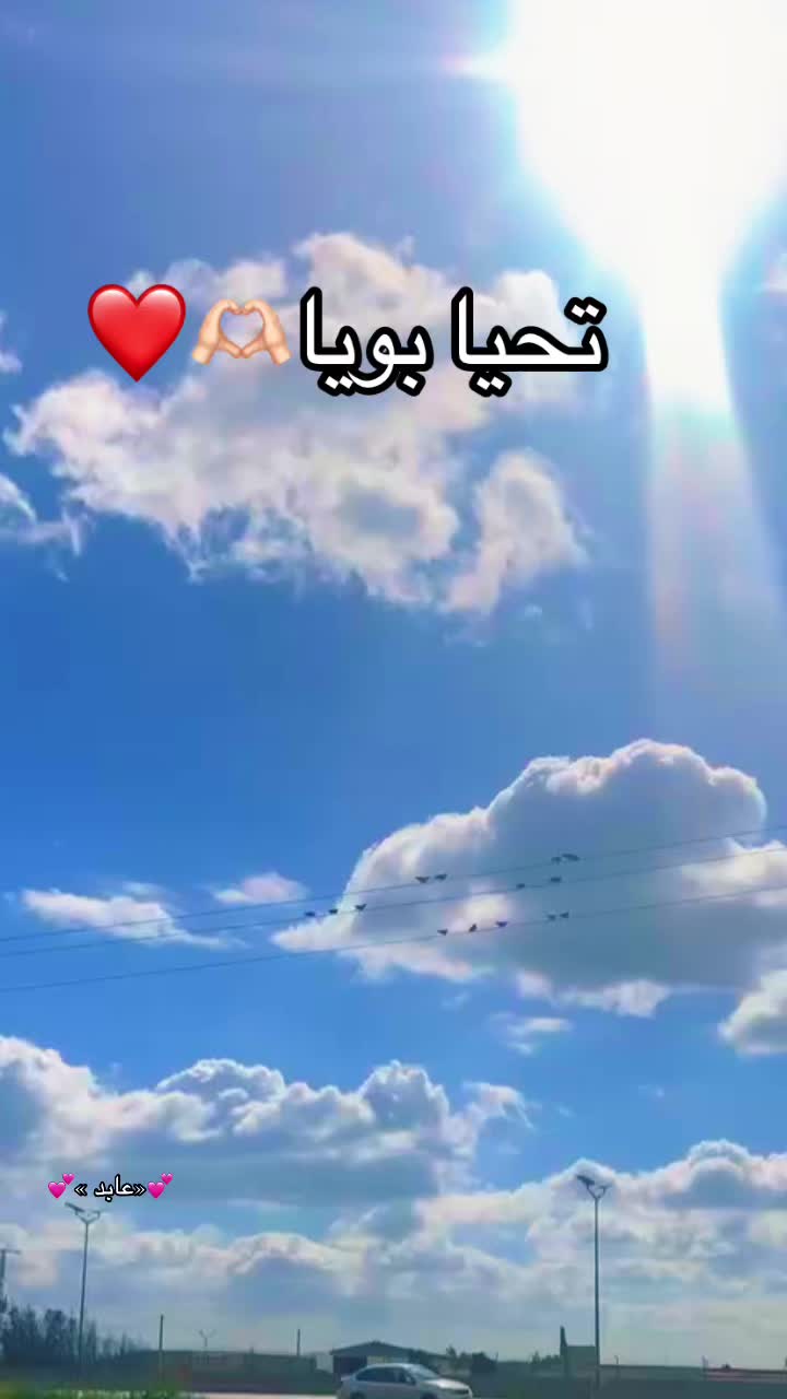 @♾️🦢