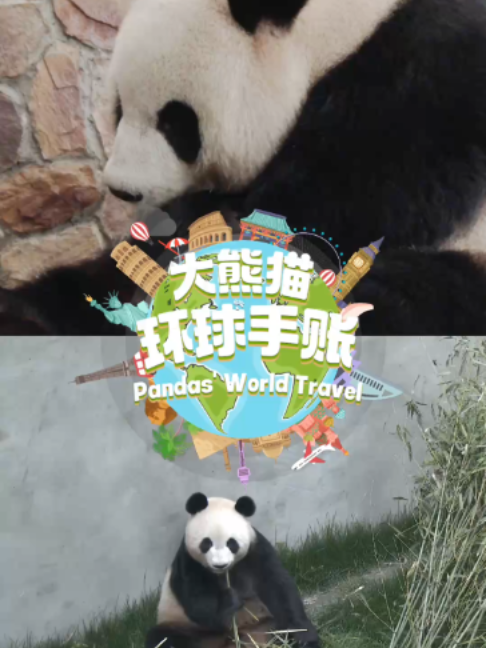 @iPanda