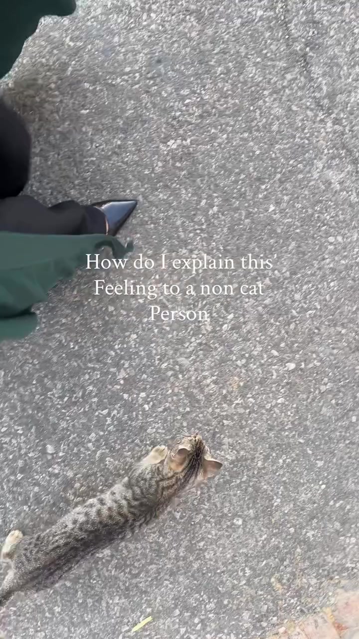 @𝐊𝐢𝐲𝐚𝐧𝐢🌷