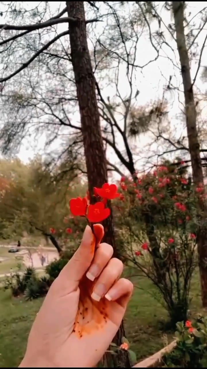 @NAIMA ABBASI♥️