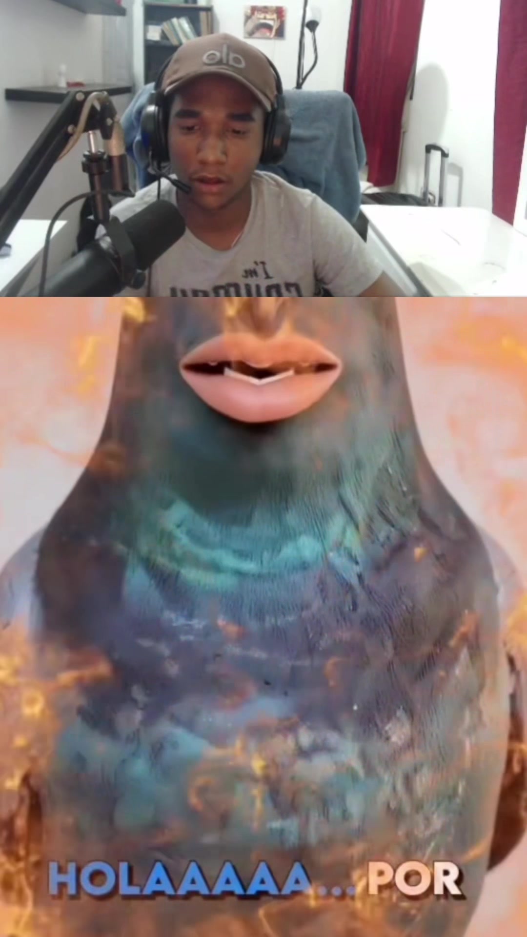 @nardositooo