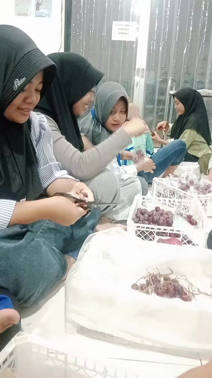 @yulianaStore19