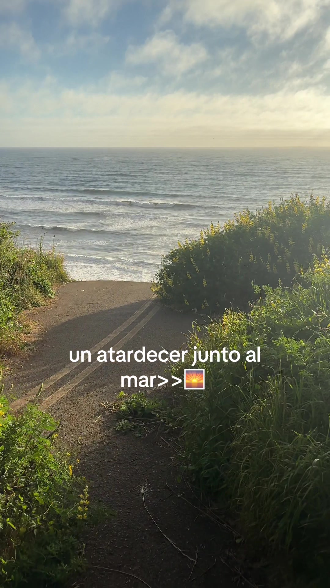 @Sebastian Moreno🏕️