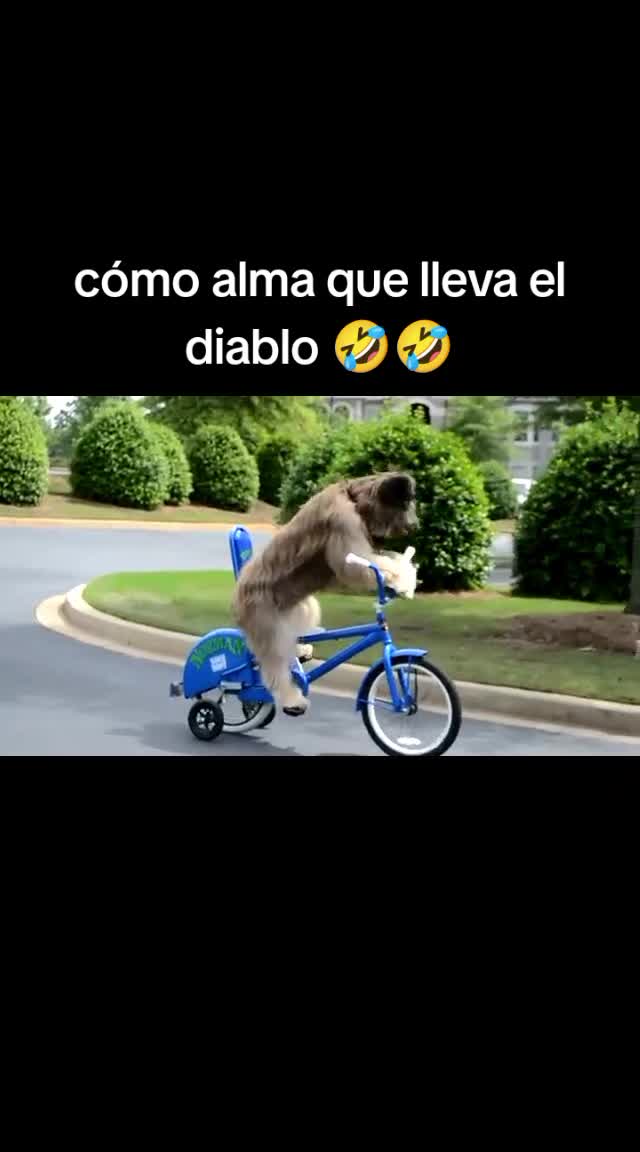 @ALFYULE
