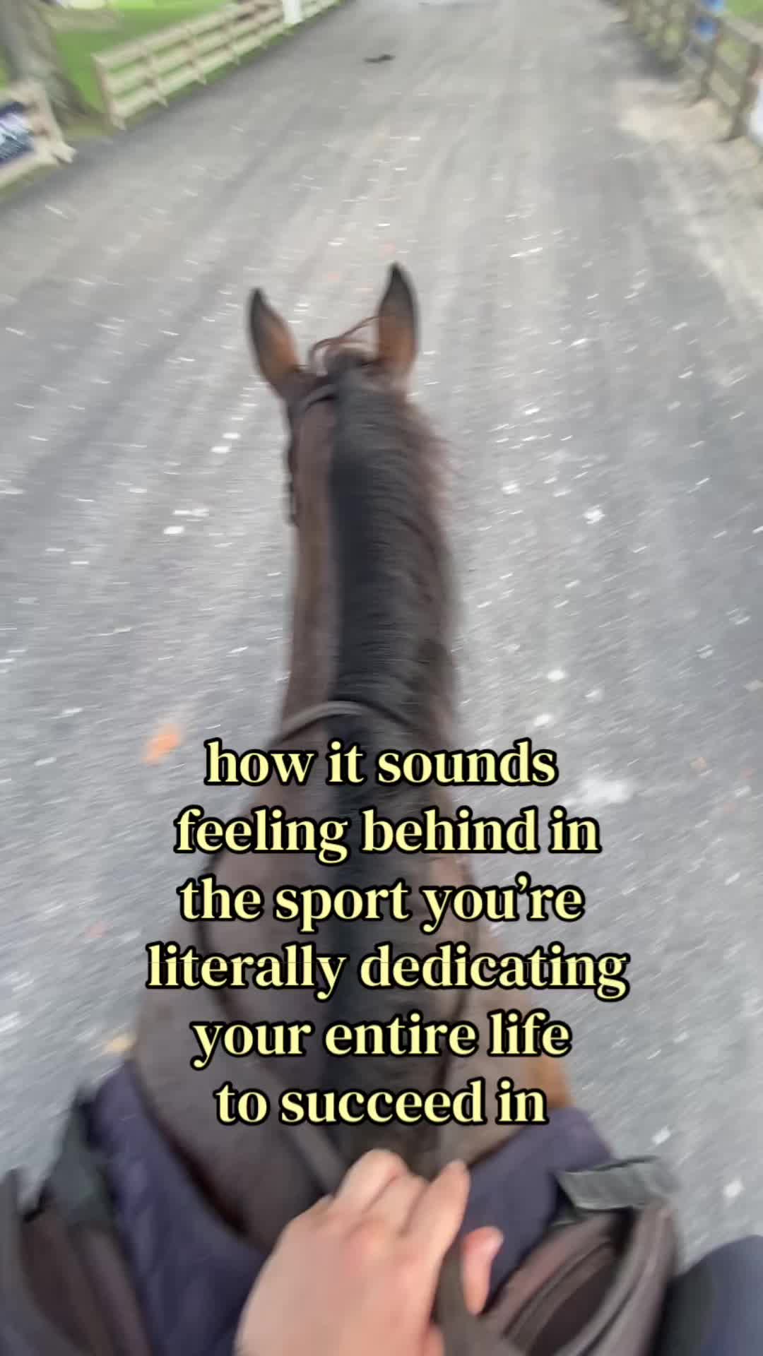 @.ktm.equestrian