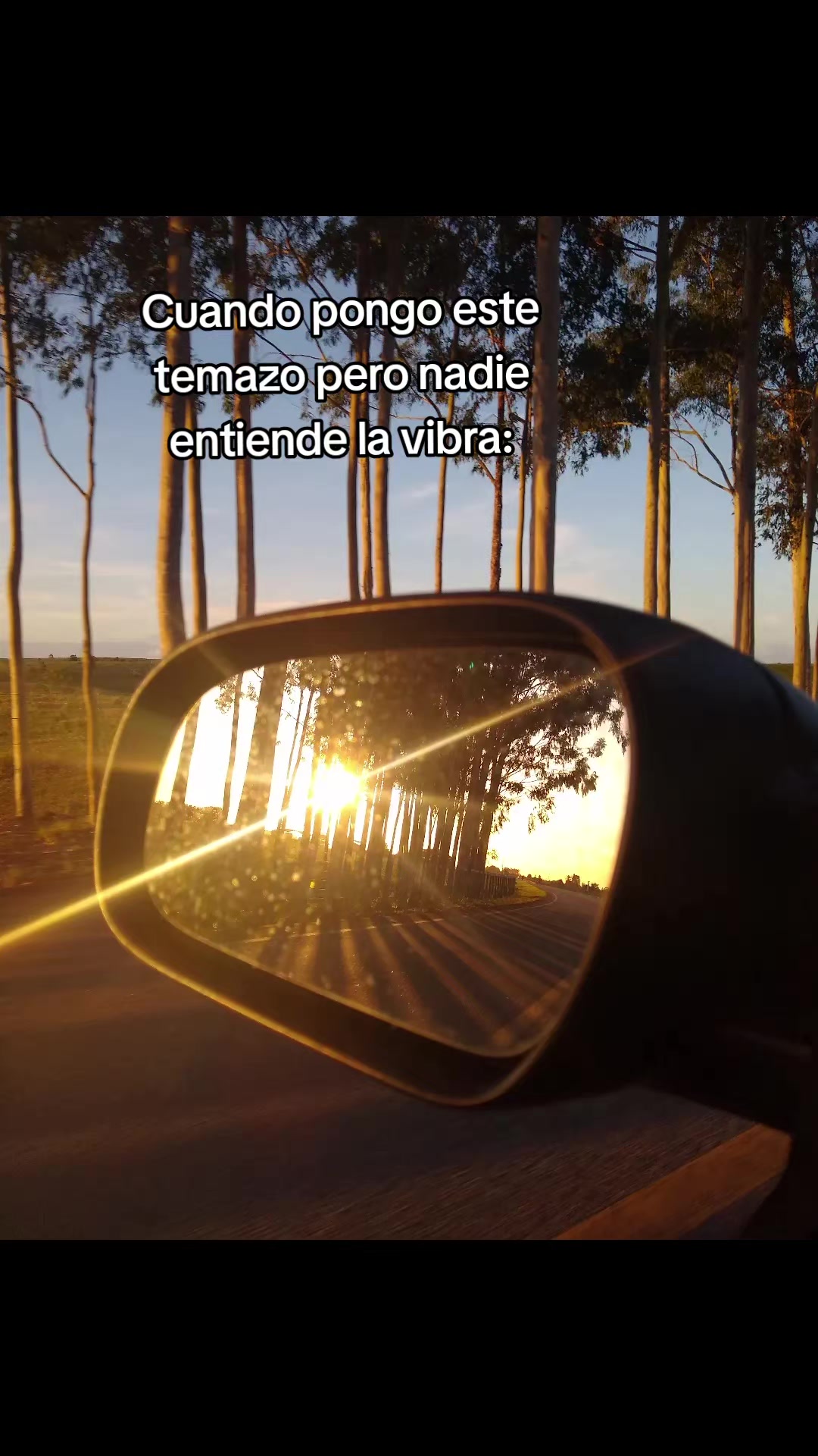 @🤠🐴🐮*Lulú*👩🏫🧠🫀