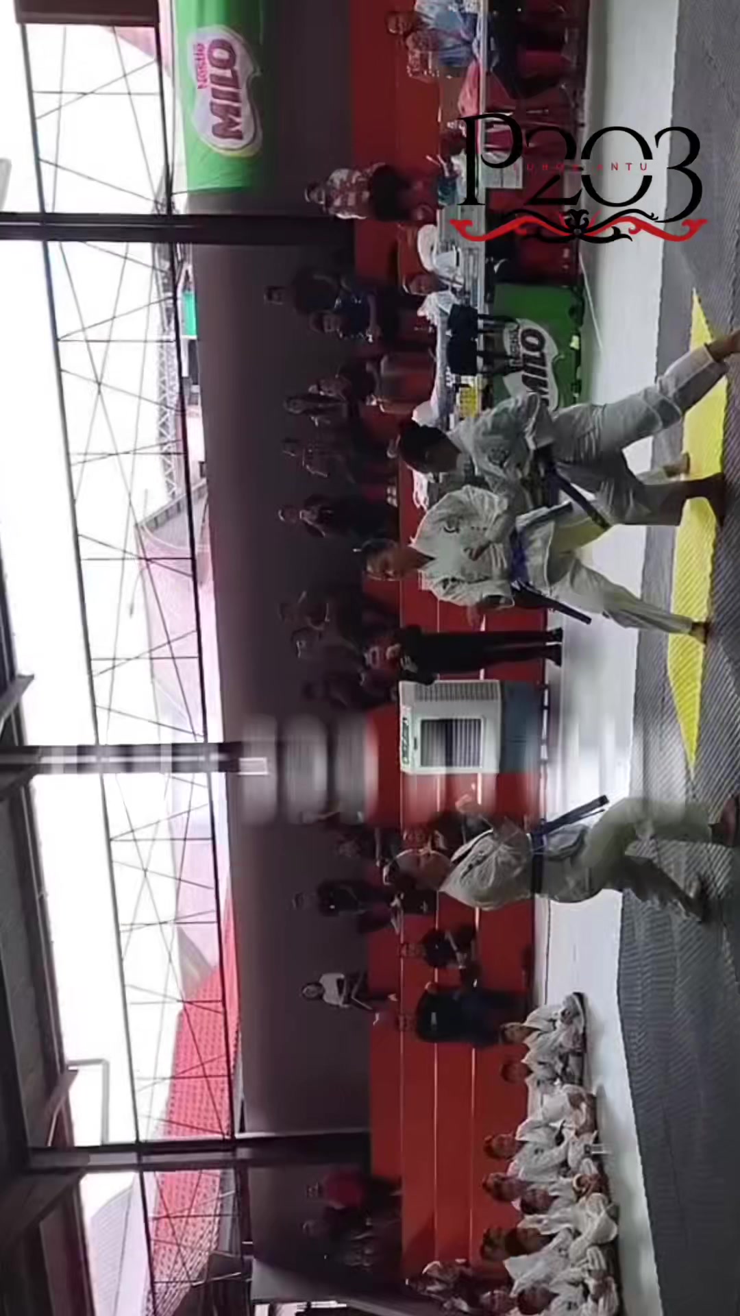 @Roy Angau Gingkoi