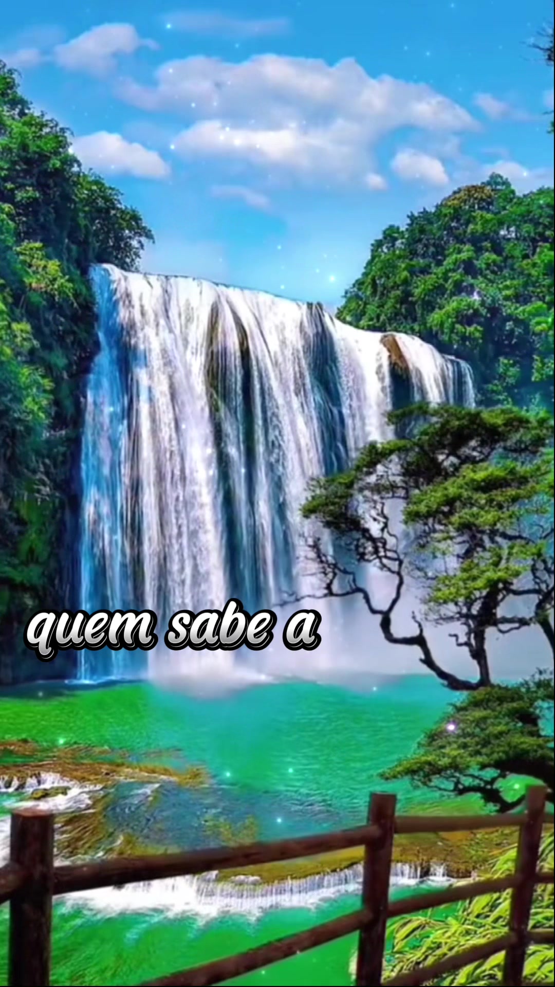 @Josefa Mendonca