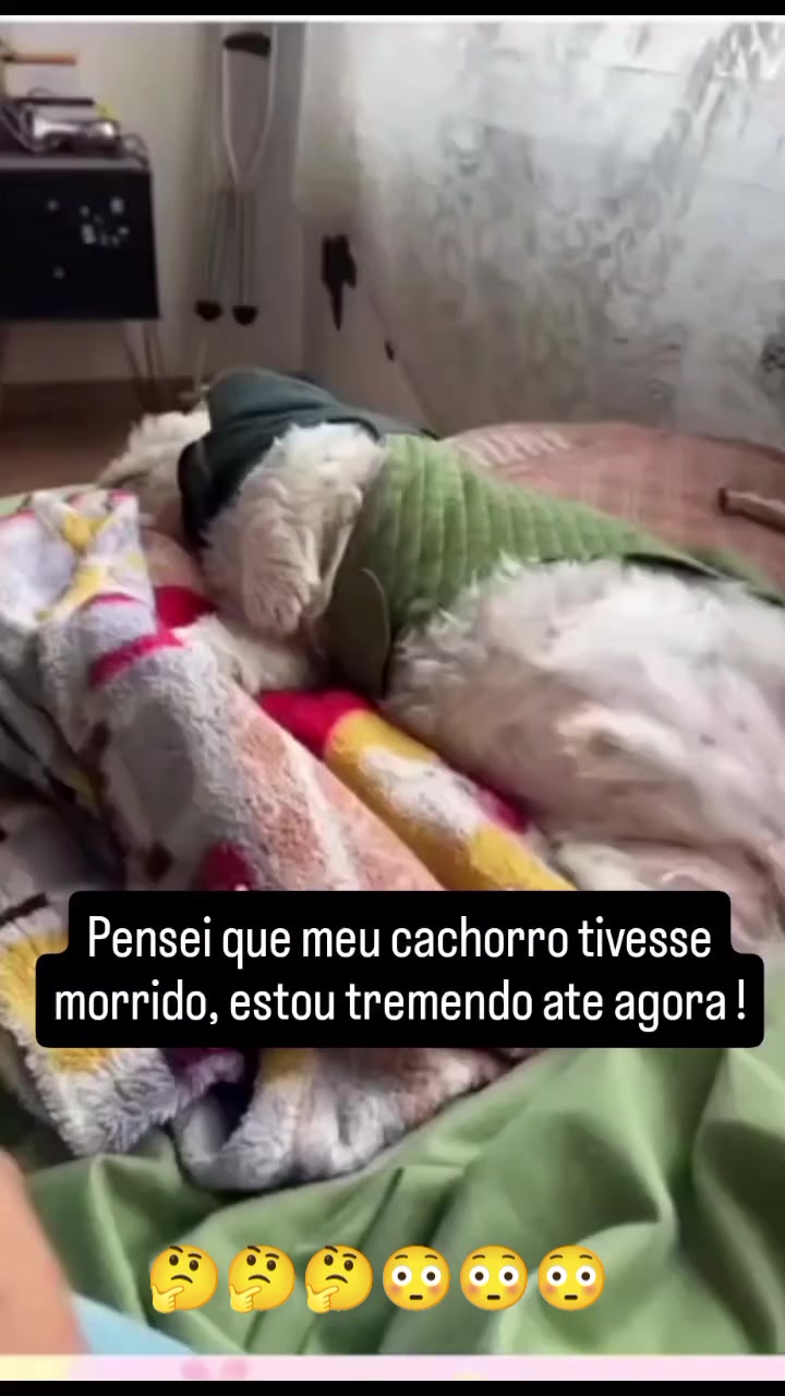@Marcos Sarinho