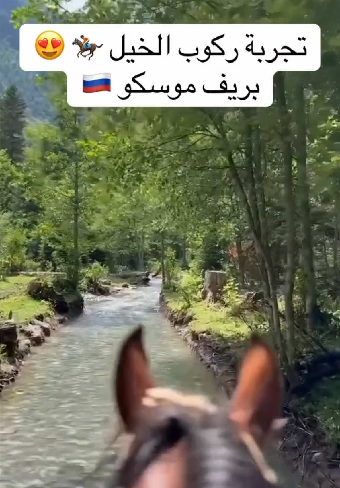 @tourism_russia_company