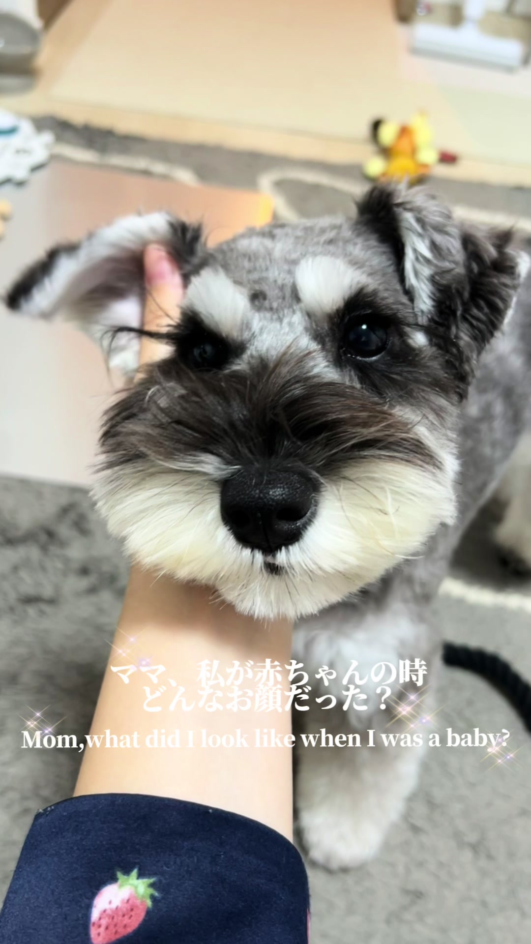 @たたしゃん🐾🪽💎