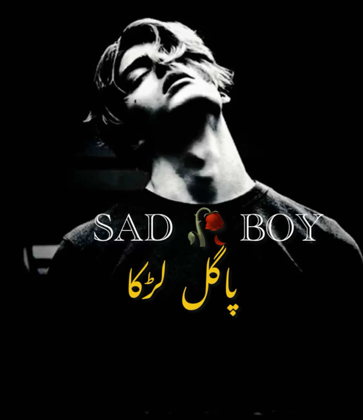 @😢 SAD BOY🎶