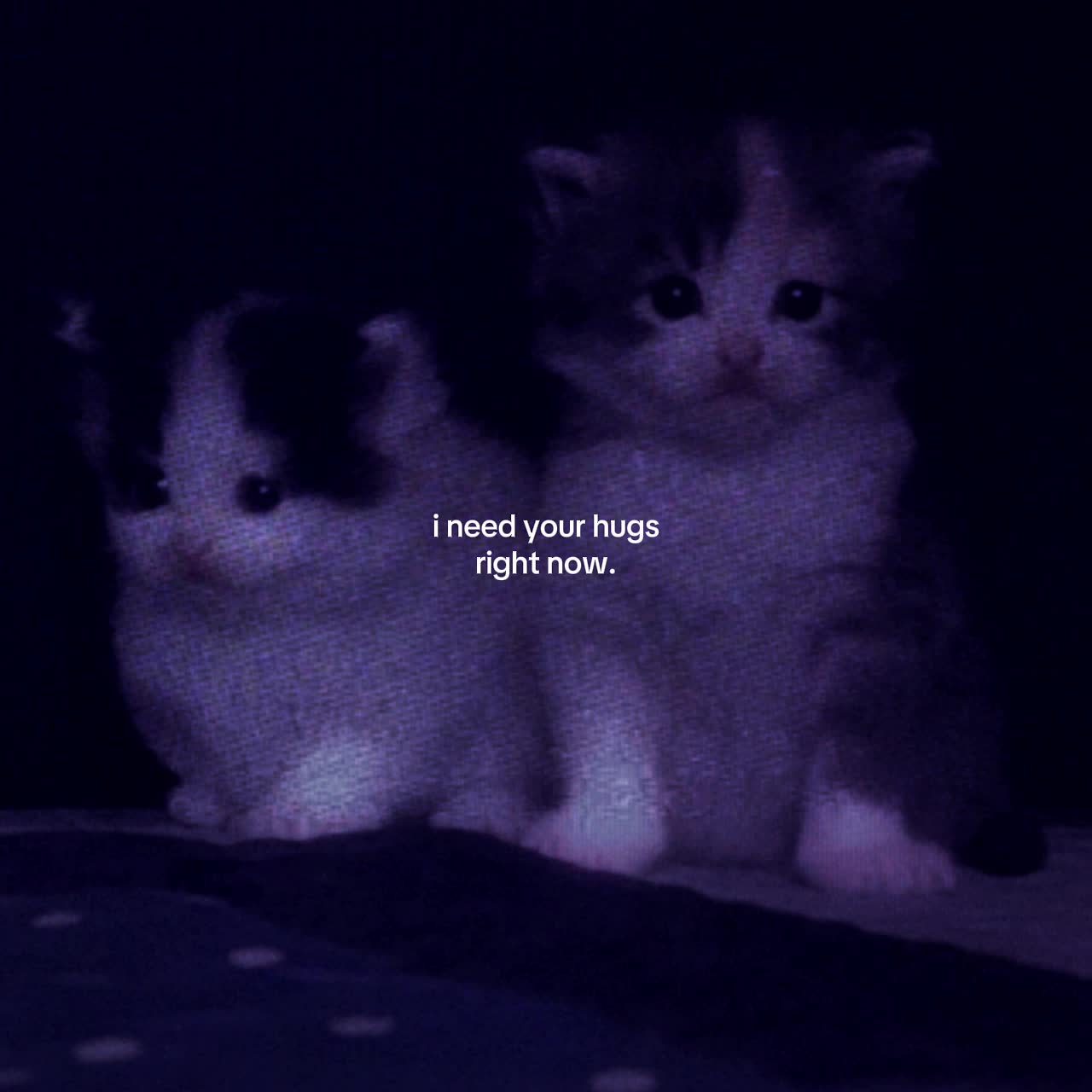 @.