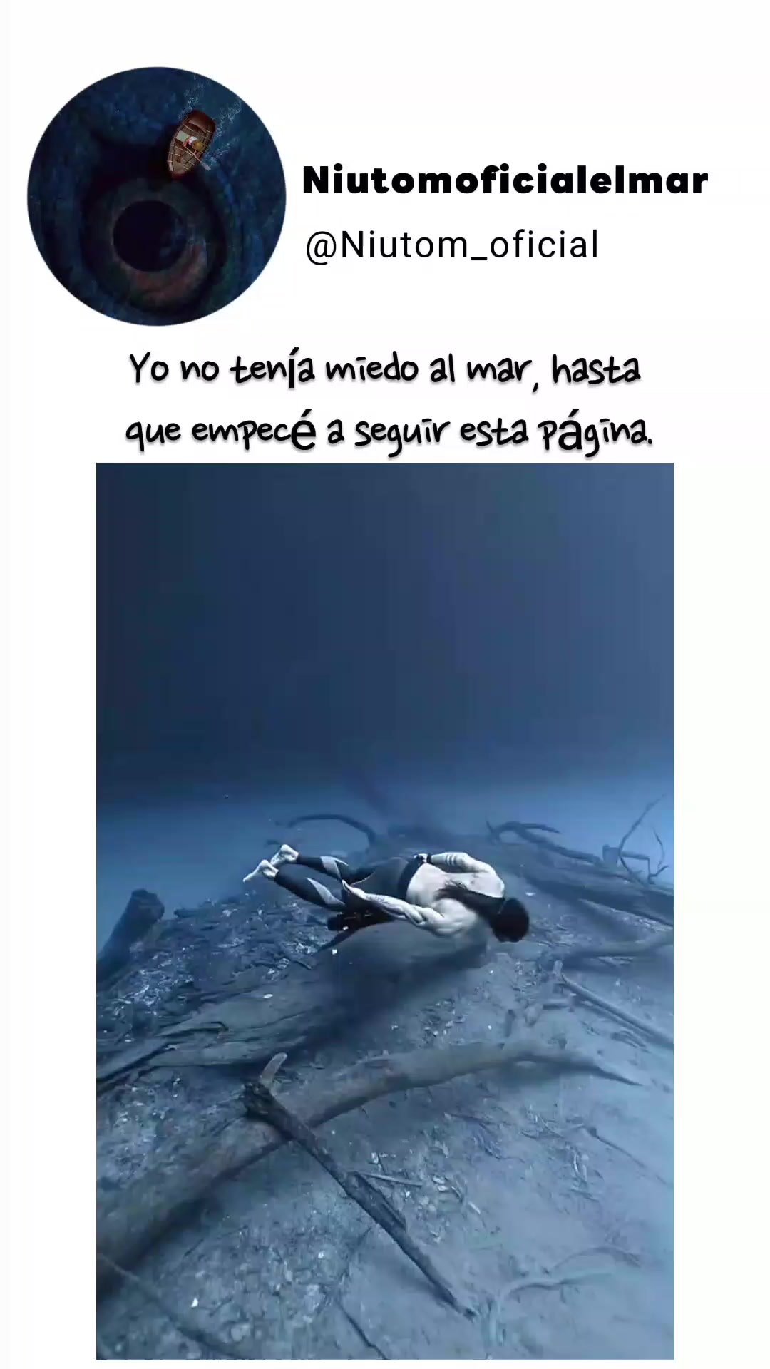 @🌊️niutom oficial el mar 🌊