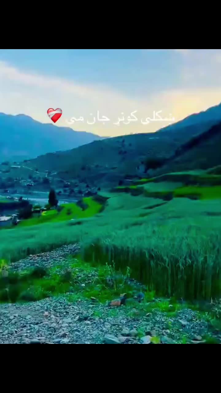@Halim mashwani