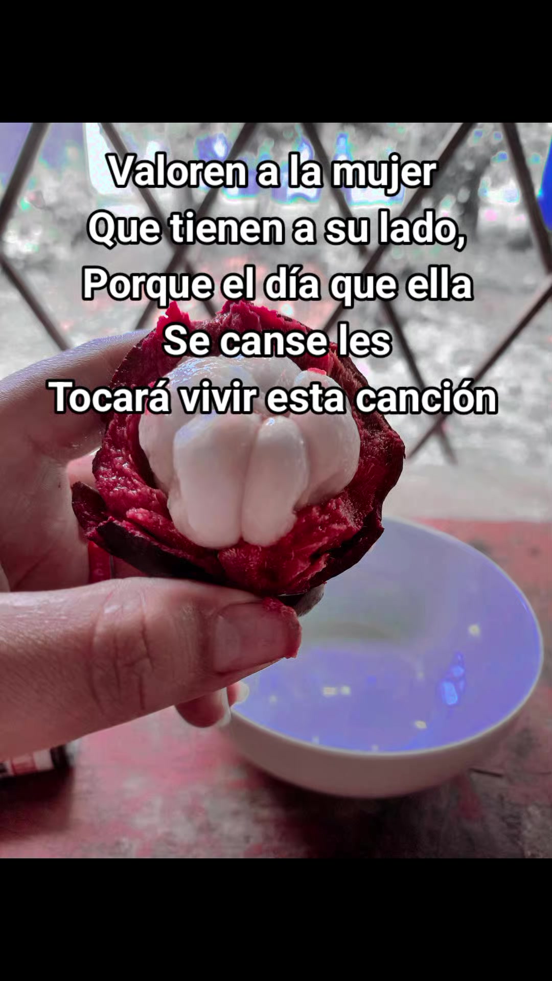 @Gatita ❤️@^>