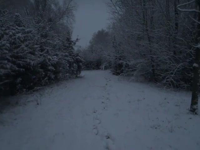 @maistør.