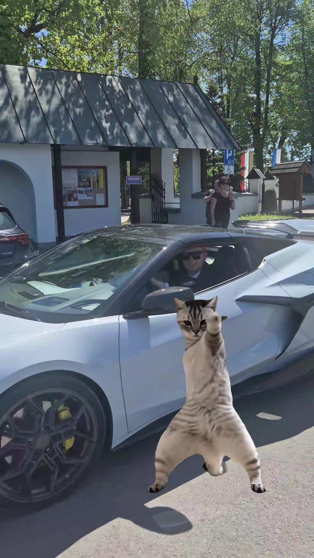 @Golden Cars