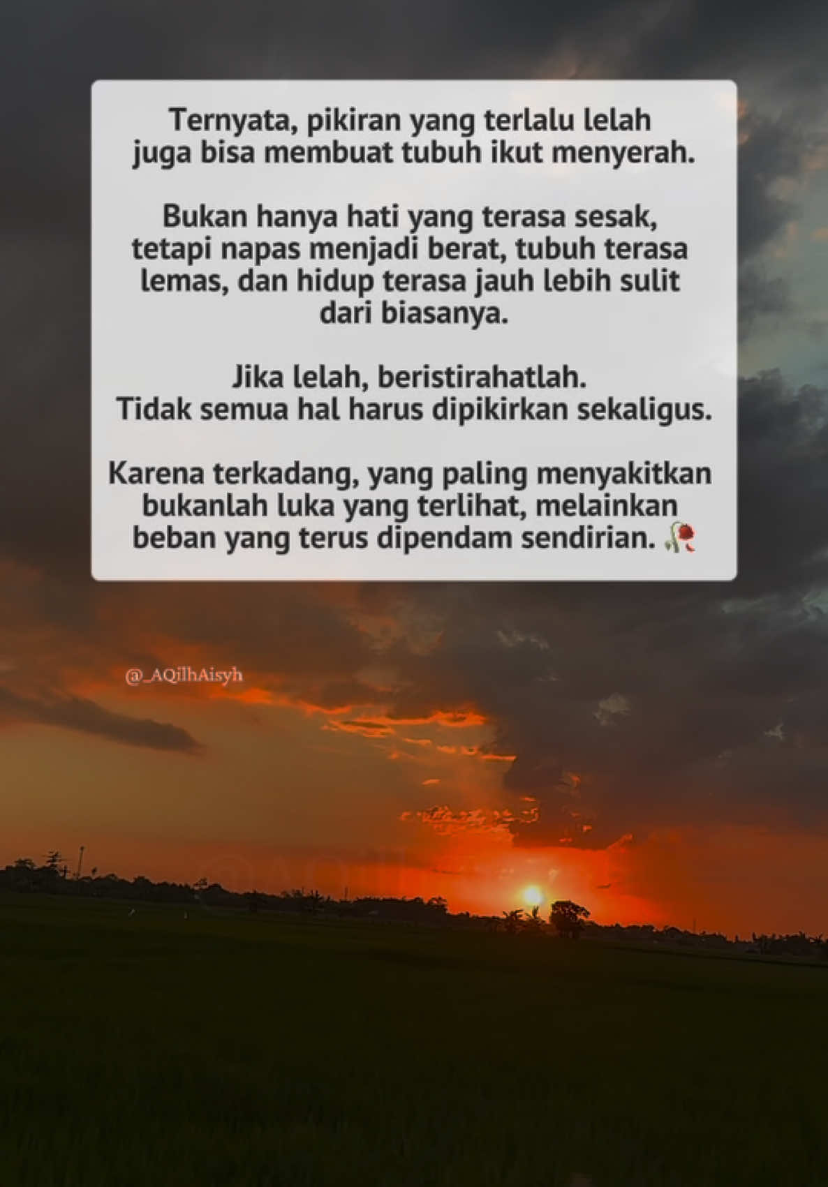 @AQilah Aisyah WT