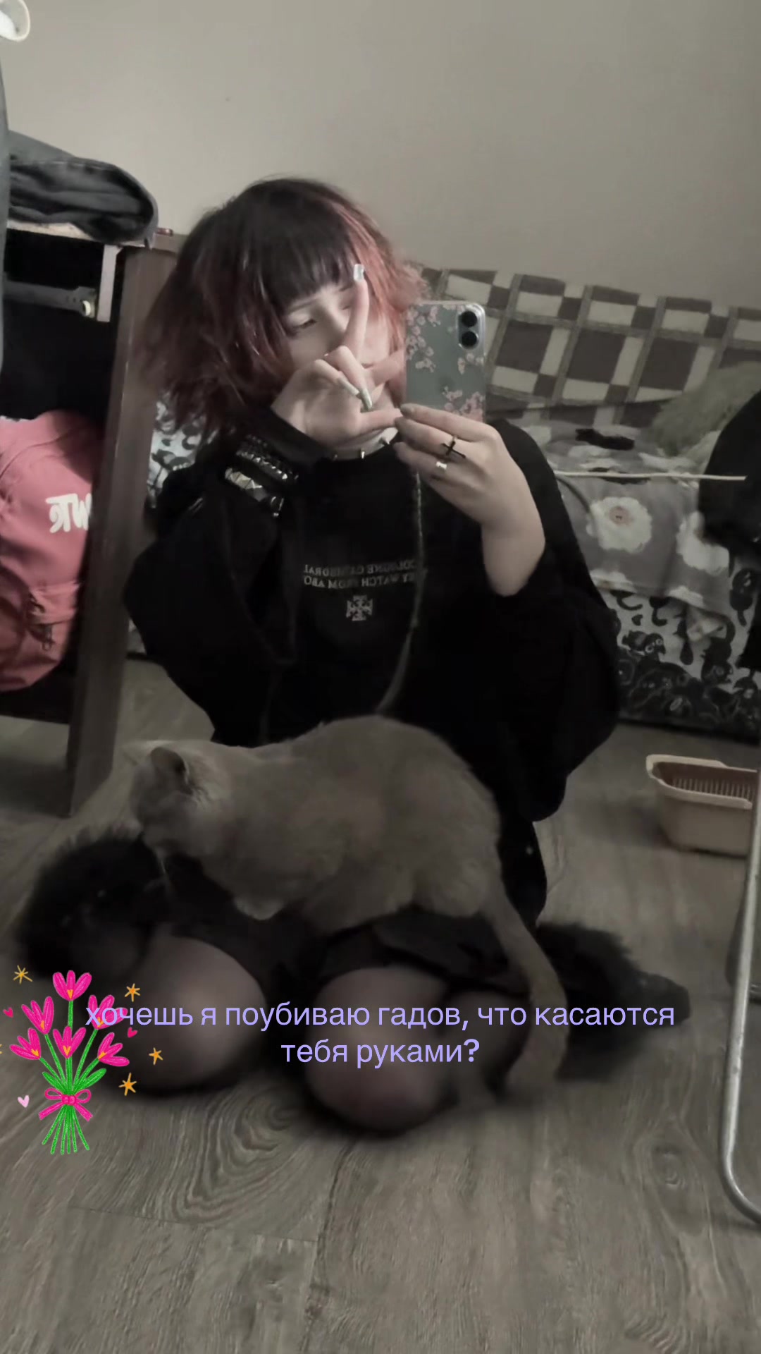 @aloraxs