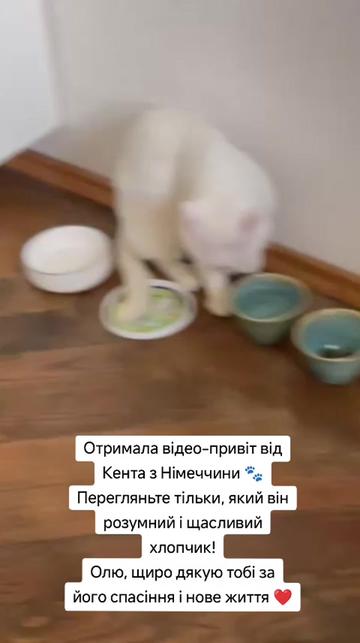 @viktoria)