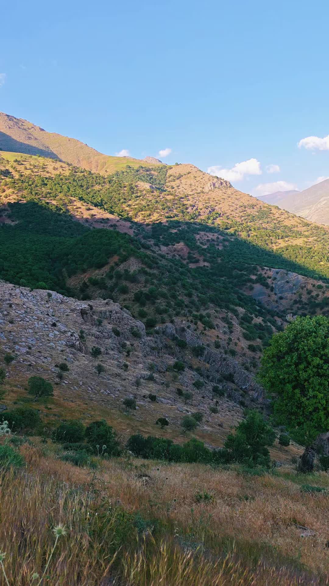 @ramazan acar
