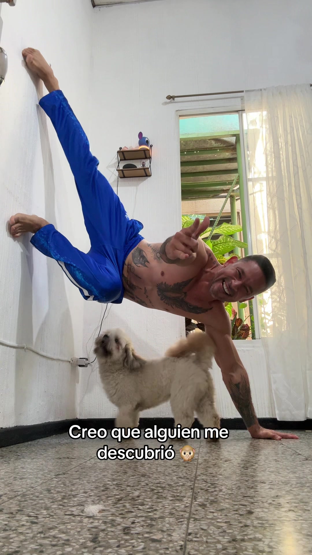 @Alex Carranzatv