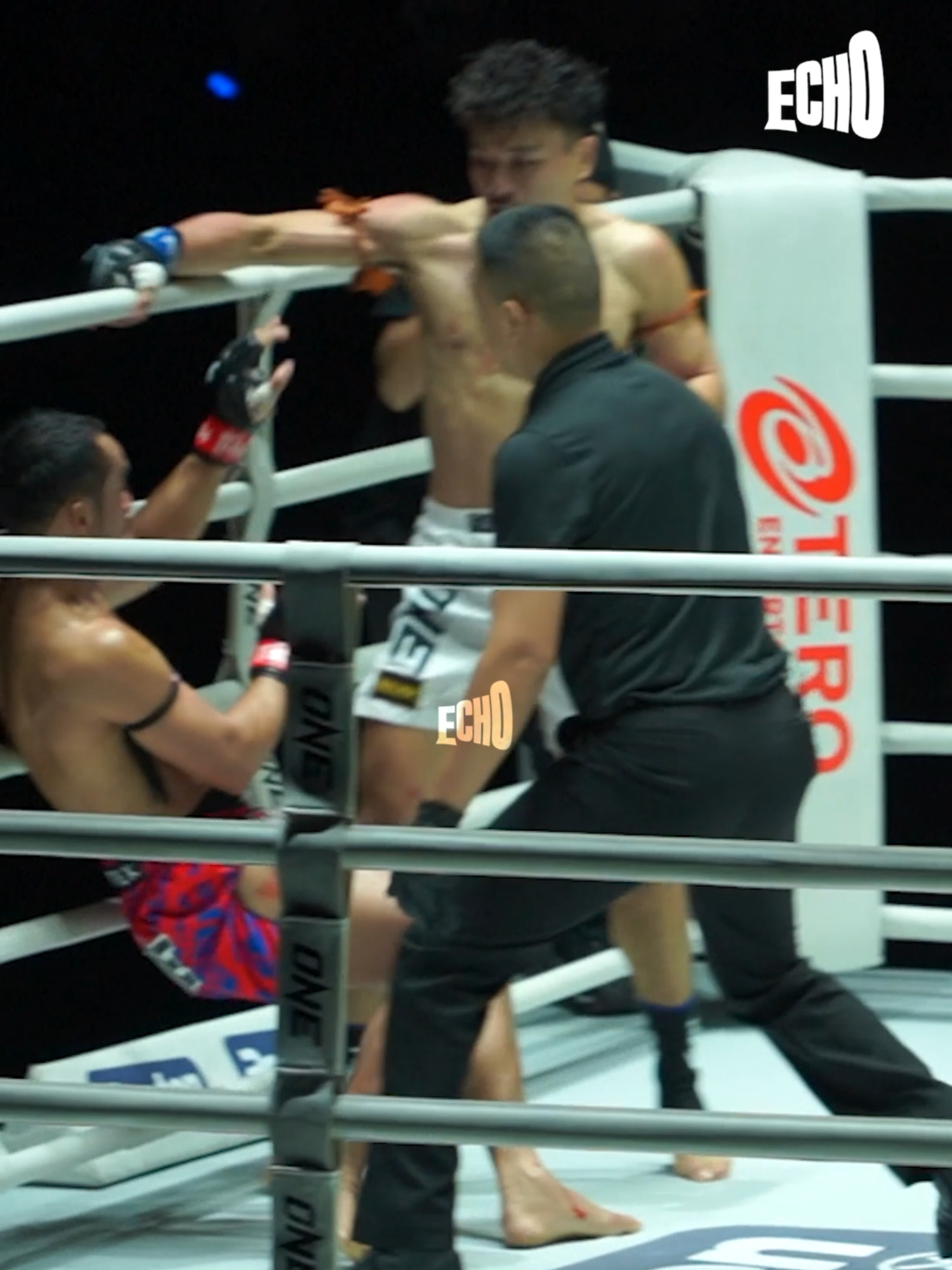 @Muay thai echo