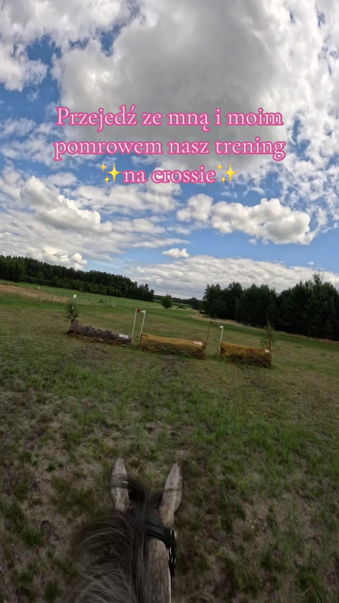 @Stajnia Miejsce Rozwoju