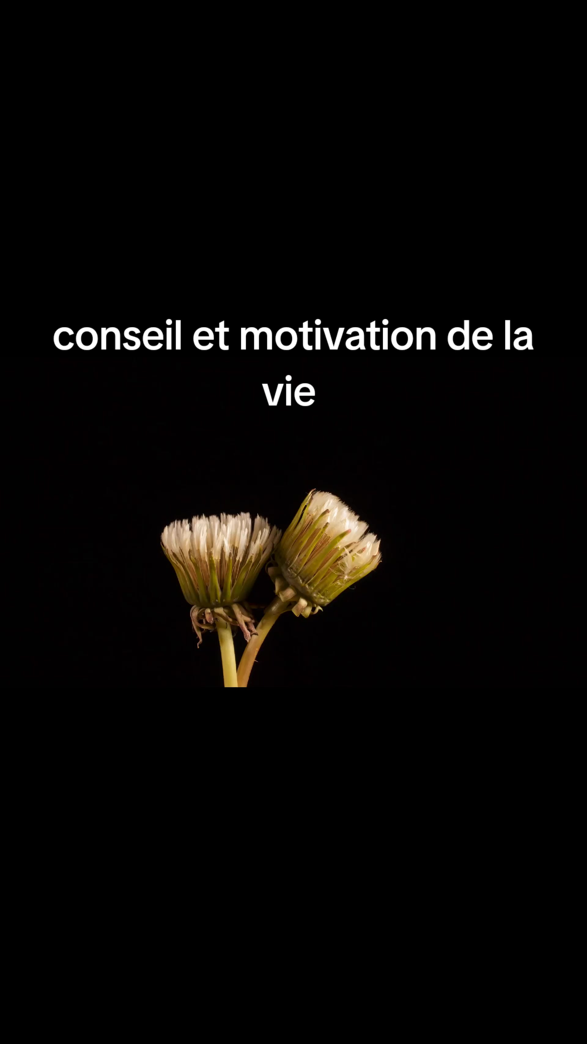@motivation