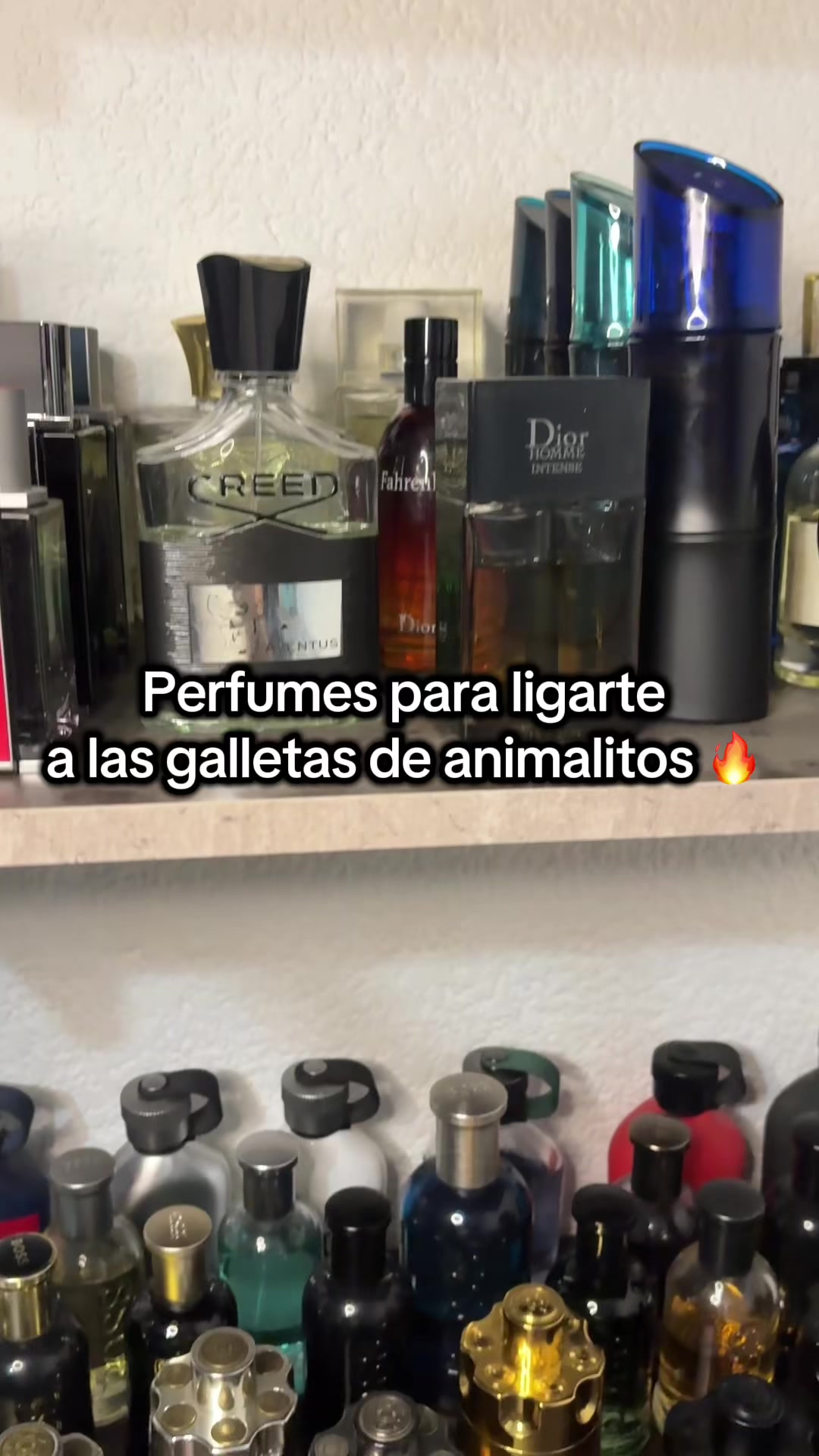 @DonParfum😎