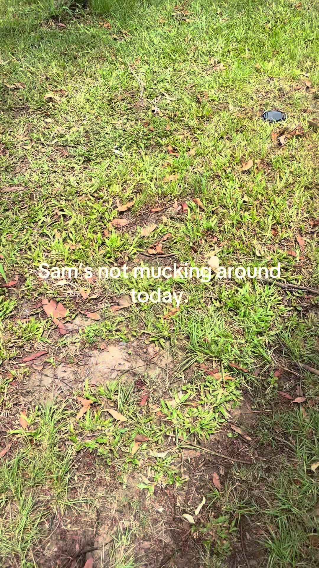 @Damian