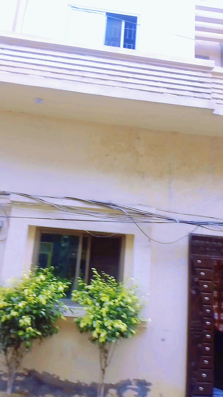 @محمد شفیق