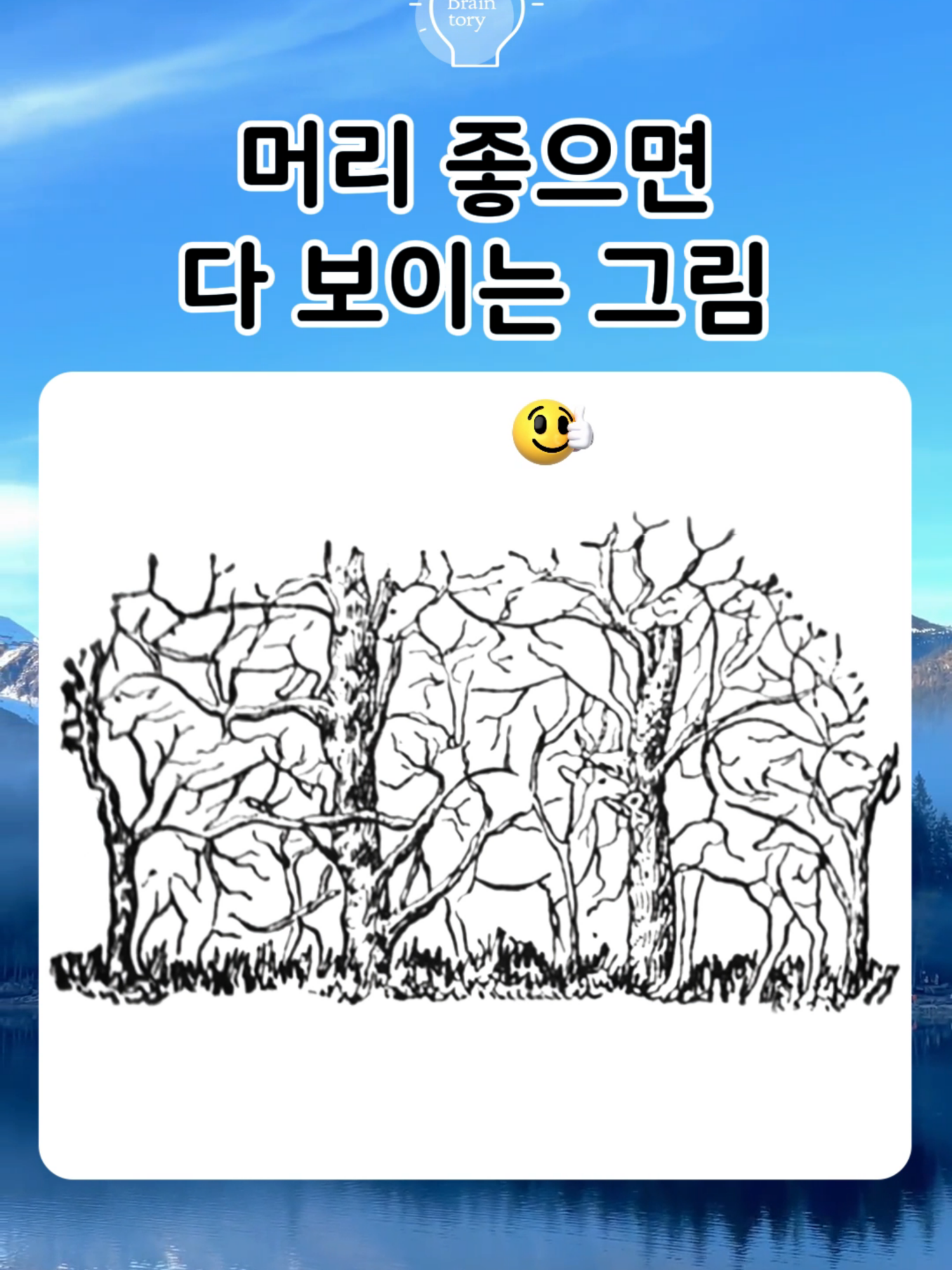 @브레인토리