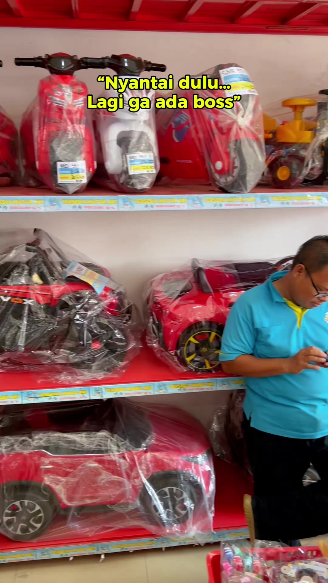 @Toko Mainan Dolphin Toys