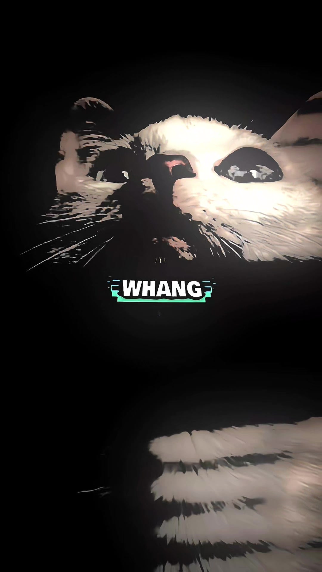 @๐ฃ๐—๐ช๐๐๐ก๐ || ๐ฃ๐ฅ๐ฆ๐ง๐