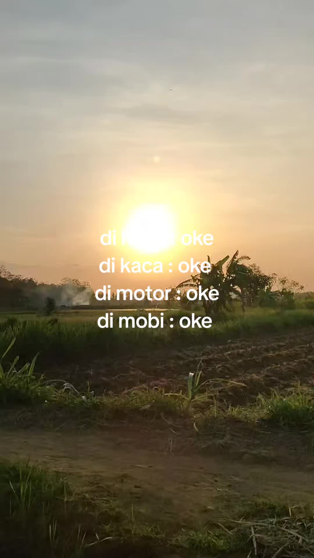 @pemulashopp